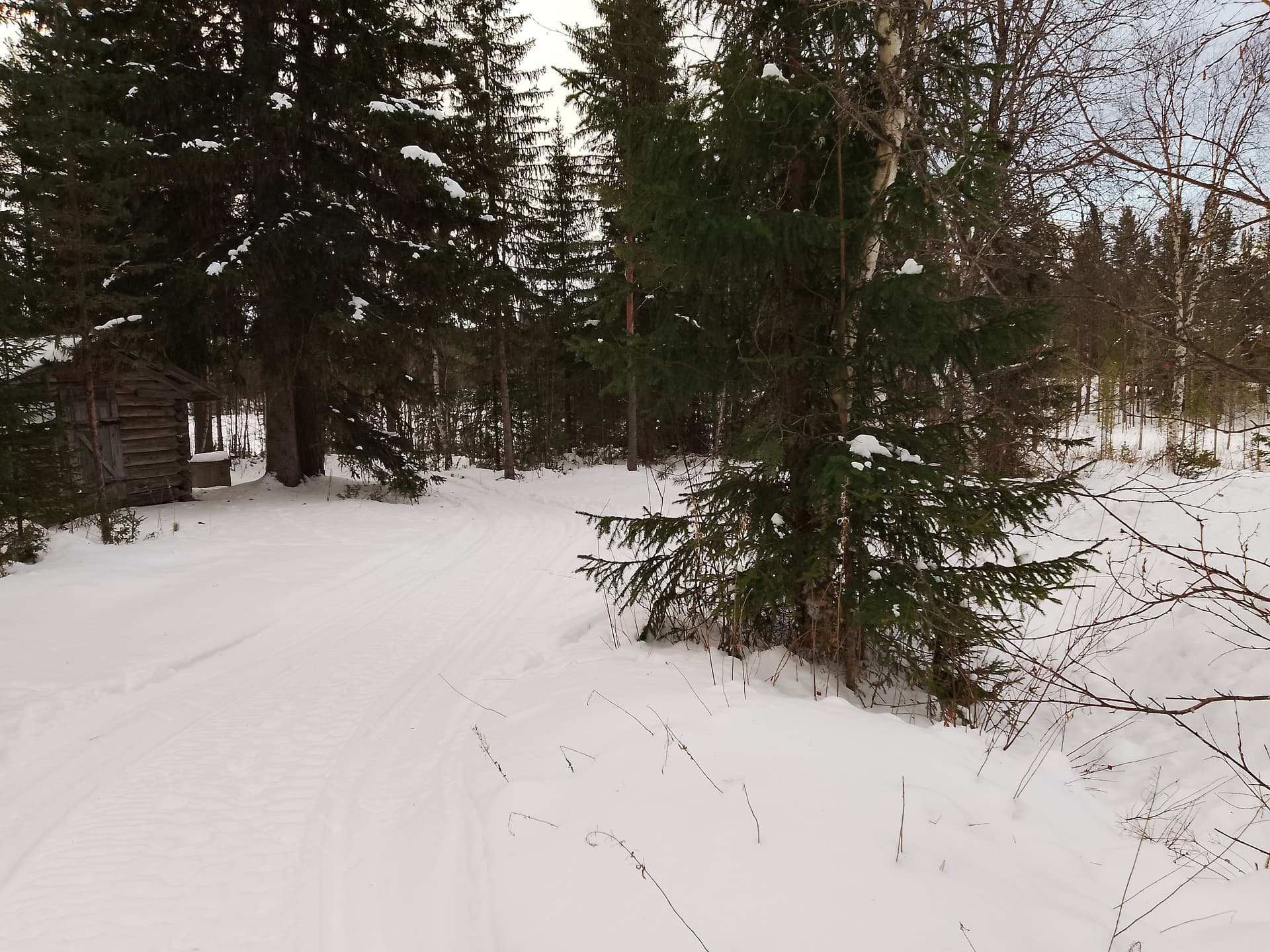 Fjällstugan - miniatyr 23